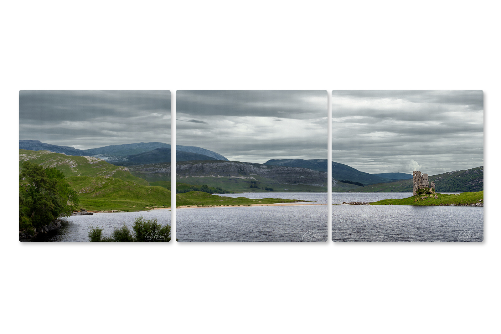 Ardvreck Castle Lairg Scotland