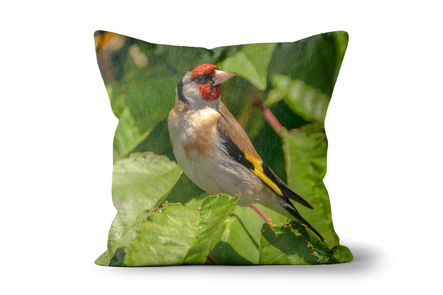 European Goldfinch Square Scatter Cushions