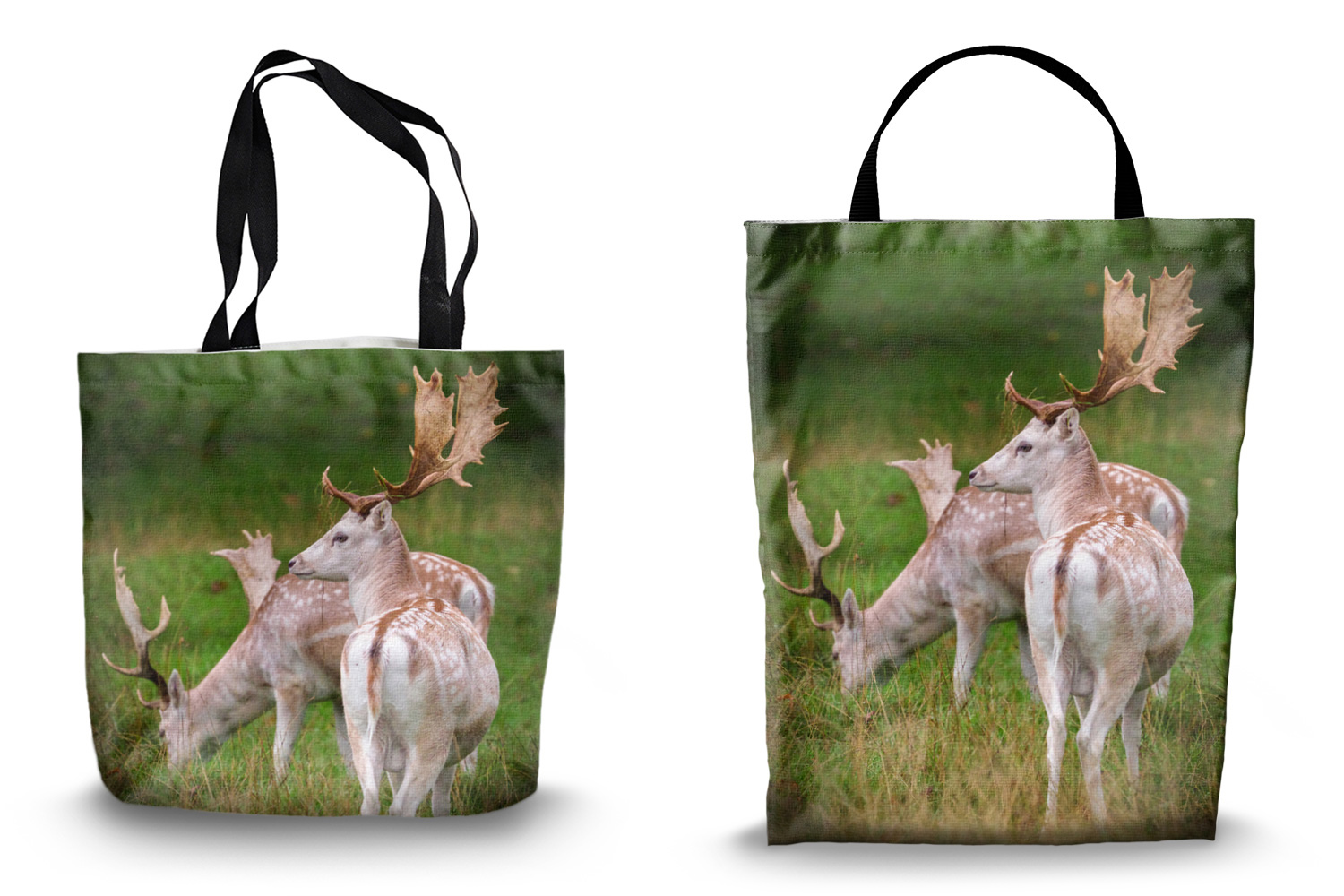 Fallow Deer Canvas Tote Bags