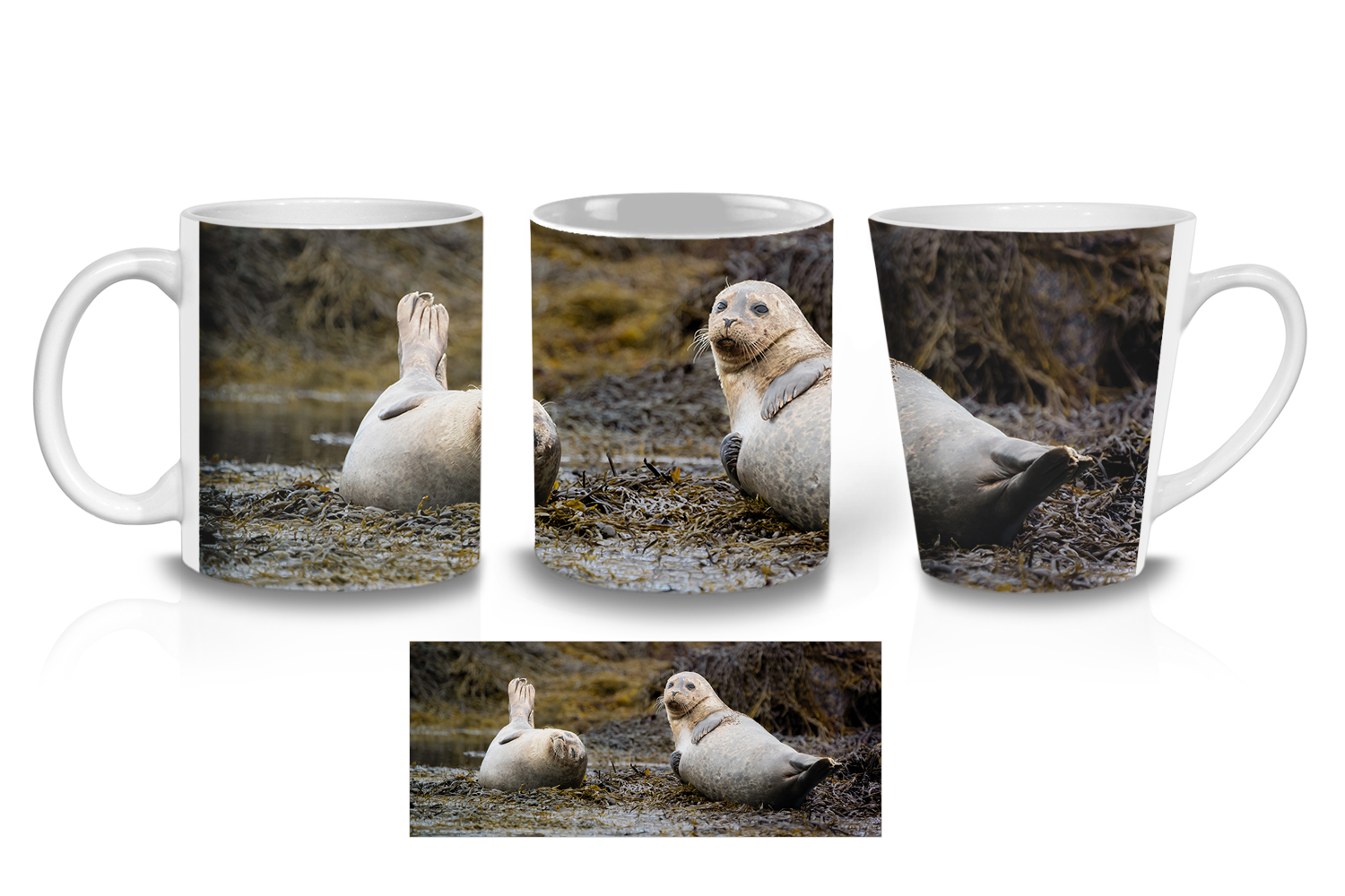 Friendly Harbour Seals Coffee Mugs