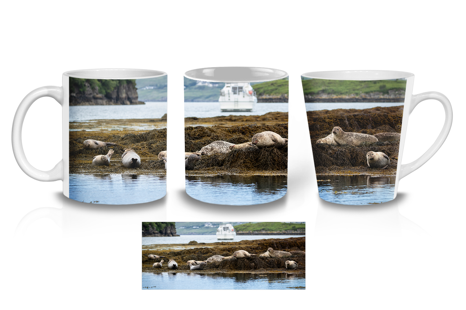 Harbour Seal Colony Coffee Mugs