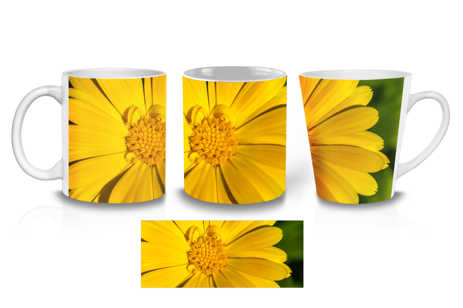 Lance-Leaved Coreopsis Coffee Mugs