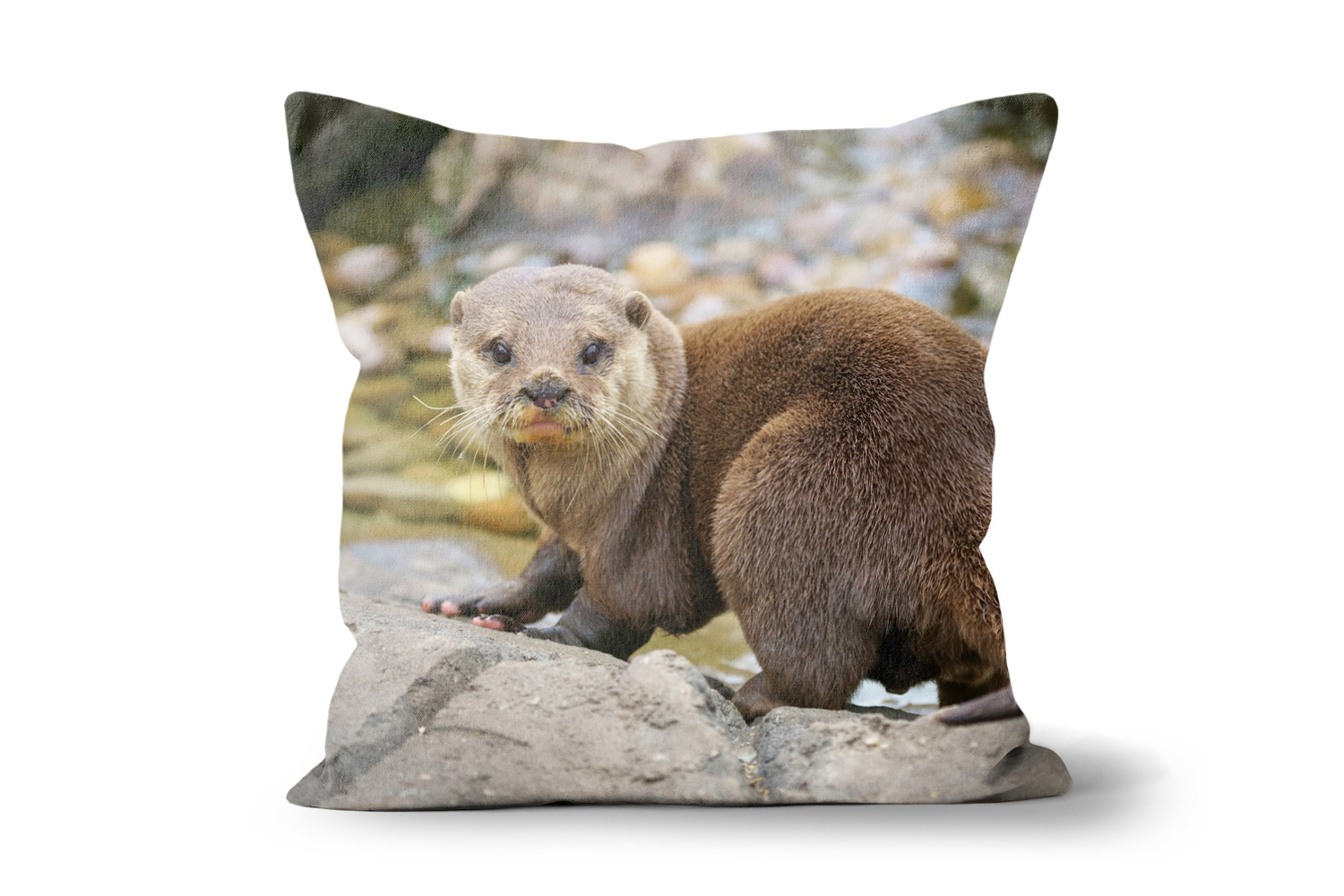 Otter 24 x 24 inch square cushion