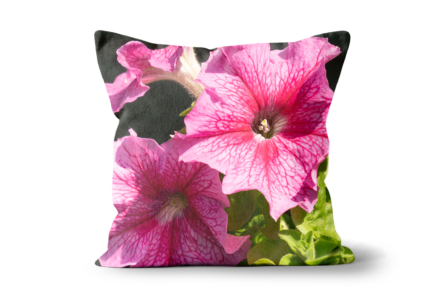 Pink Veined Petunia Flower Square Cushions