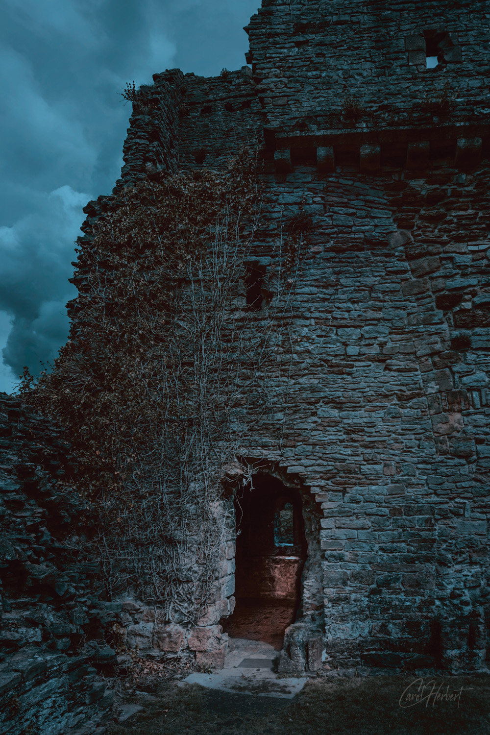 A spooky looking doorway in a ruined castle tower