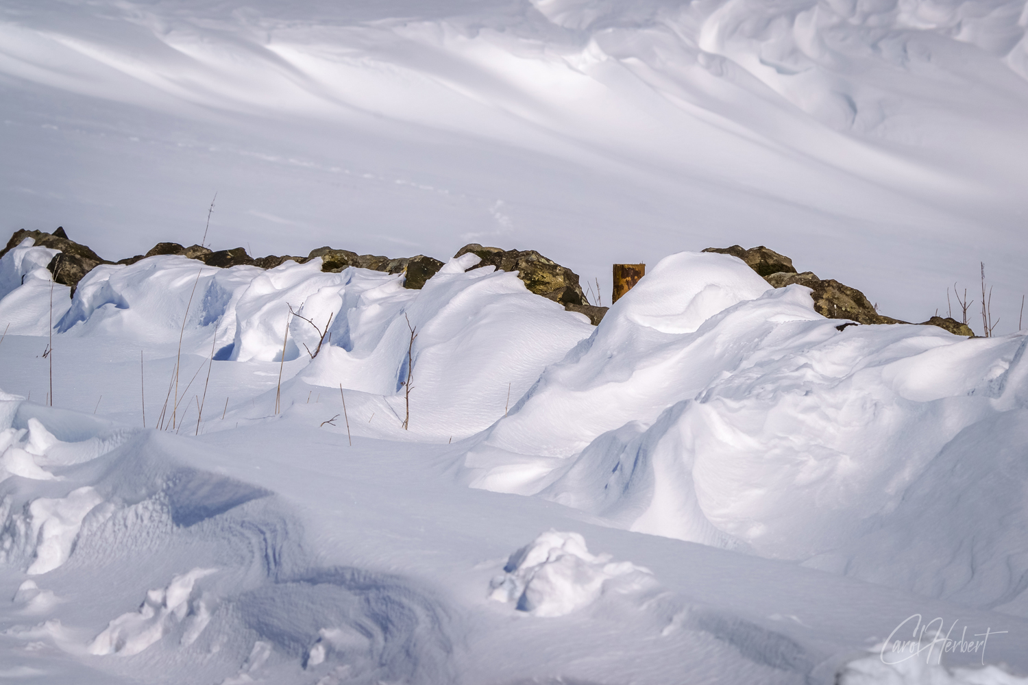 Snow sculptures wall art prints