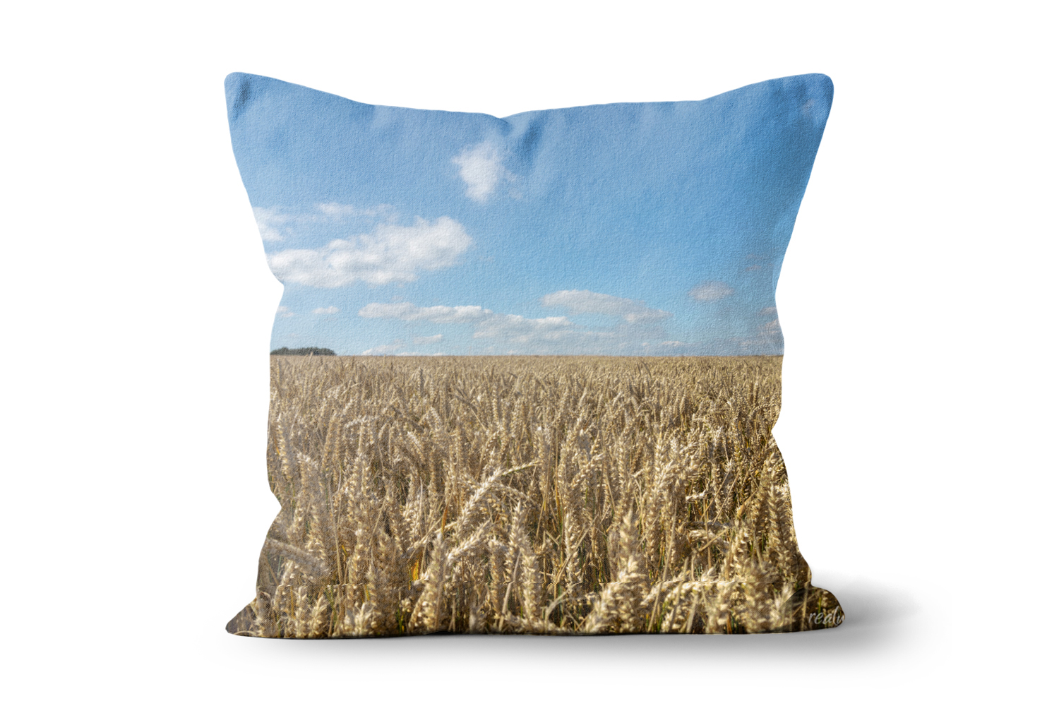 Wheat Field Square Cushions