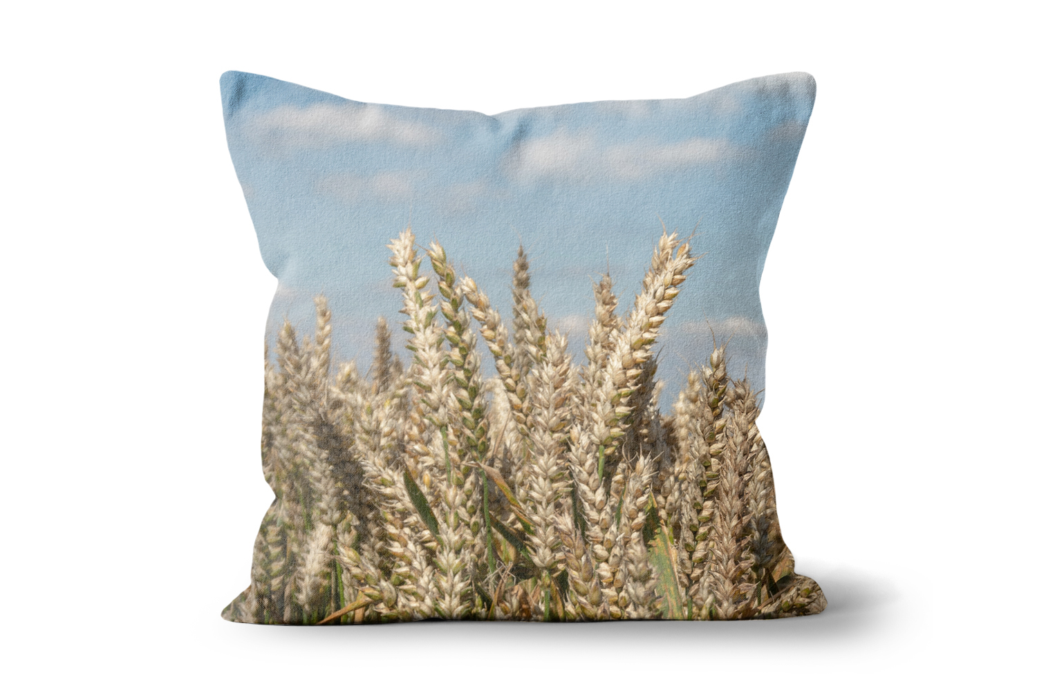 Wheat Field Square Cushions