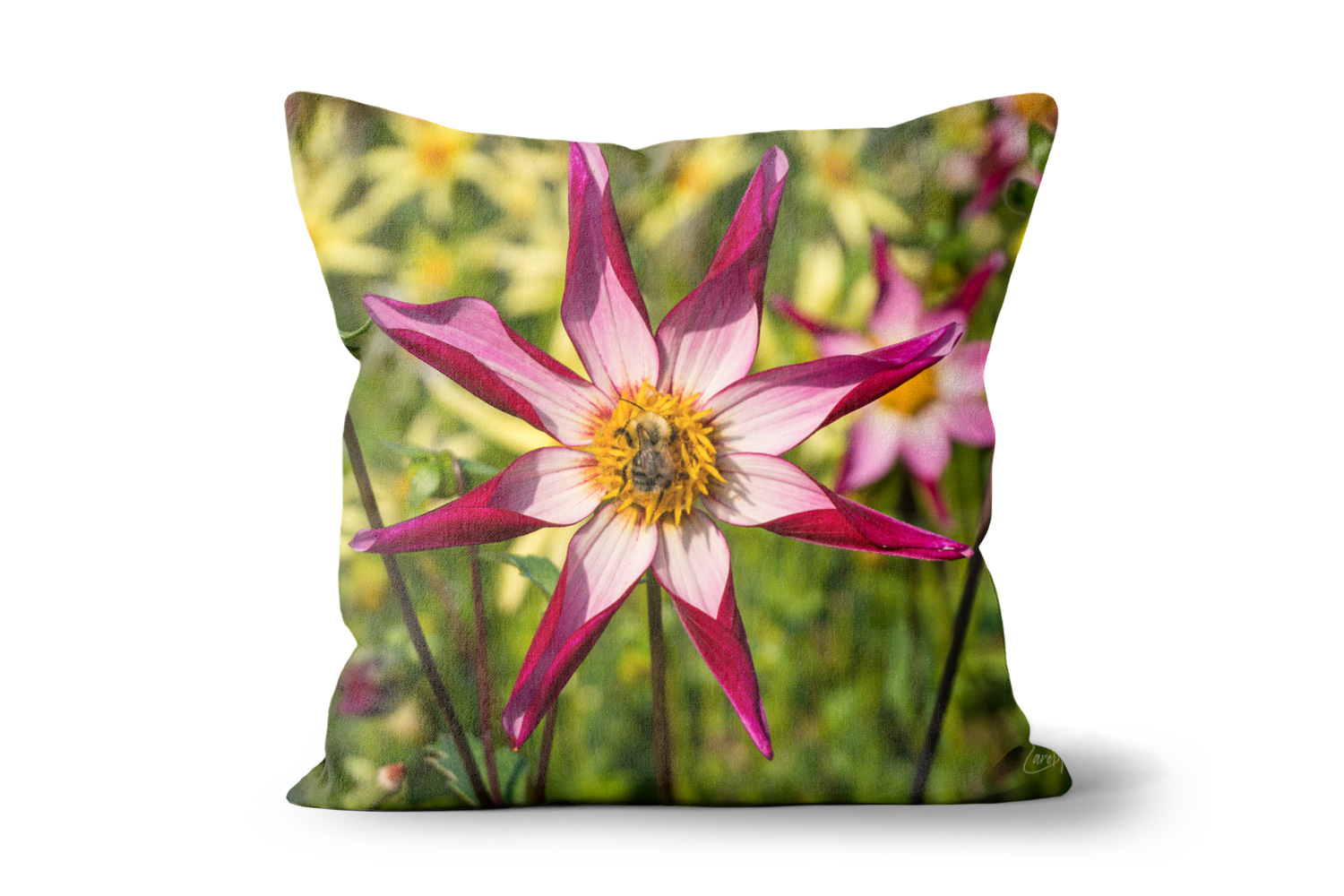Alpen Chips Dahlia and Bee 18in x 18in Throw Cushion