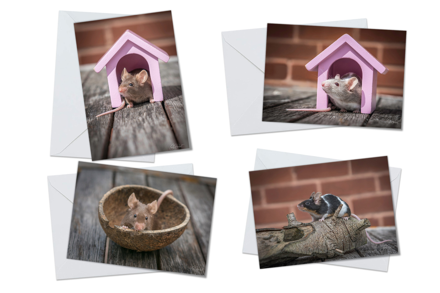 Fancy Mice Greeting Cards