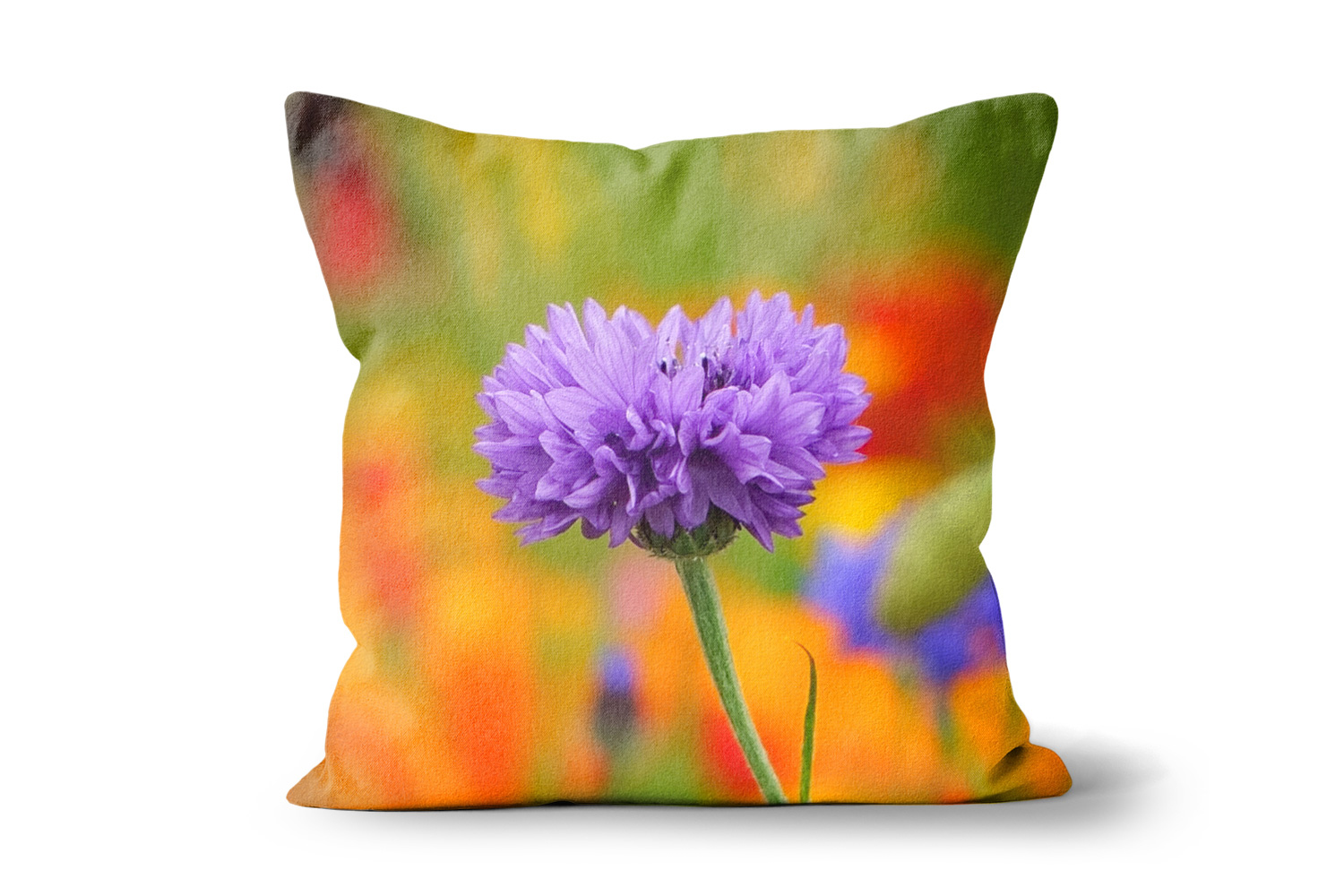 Purple Cornflower Square Throw Cushions