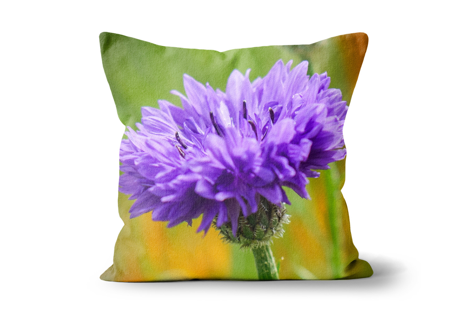 Violet Cornflower Square Throw Cushions