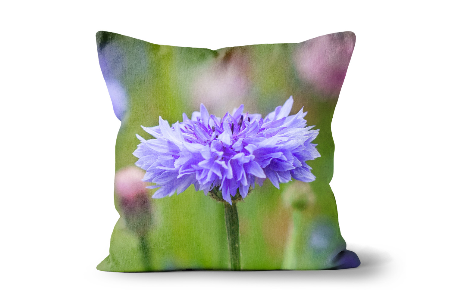 Lilac Cornflower Square Throw Cushions