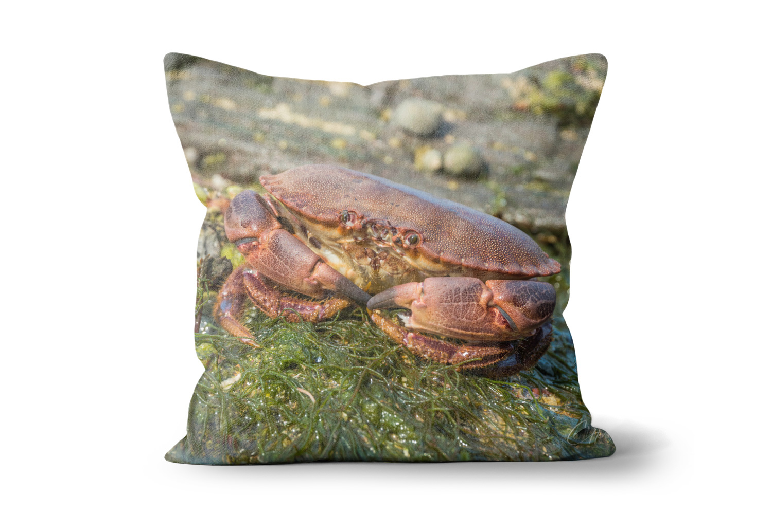 Crab 18in x 18in Throw Cushion