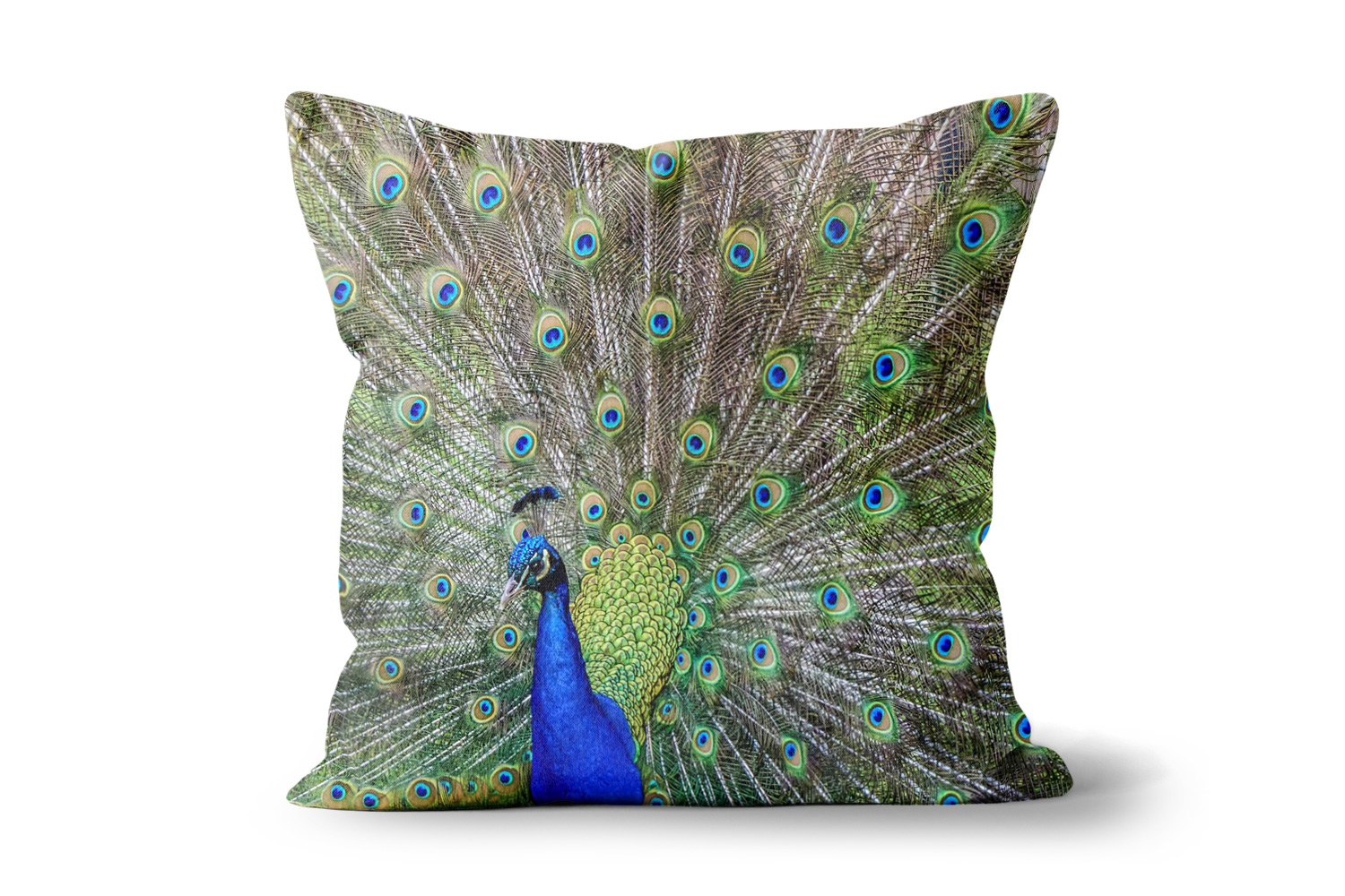 Peacock Square Throw Cushions
