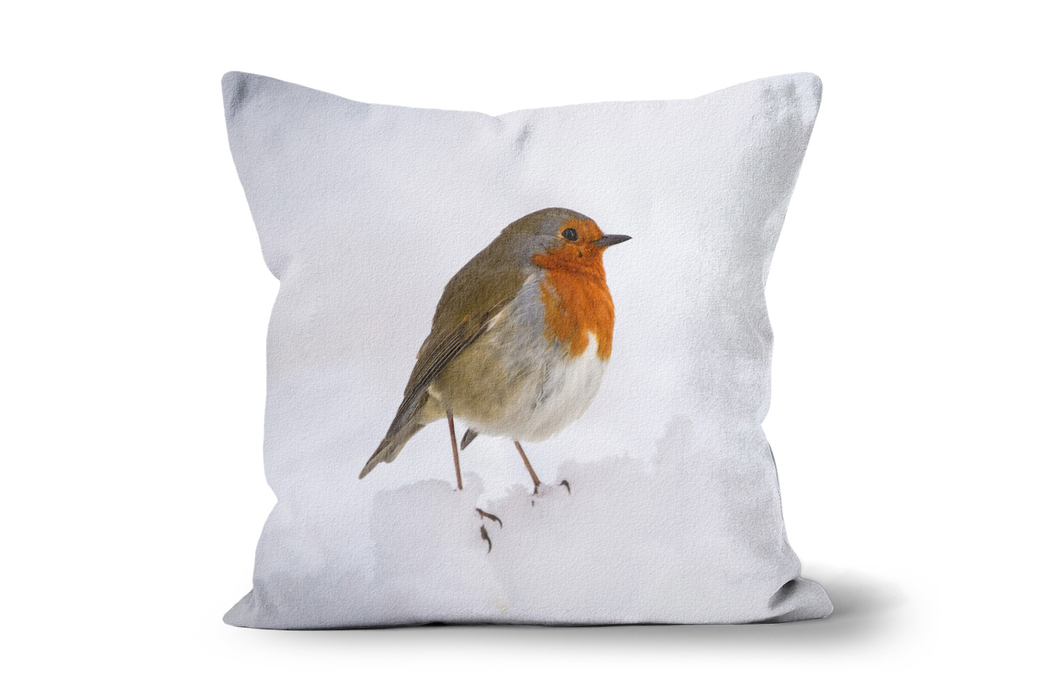 Robin in Snow Square Throw Cushions