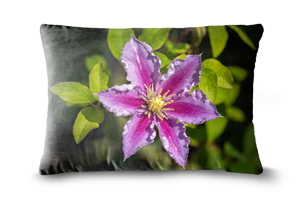 Pink Clematis Piilu Oblong Scatter Cushions