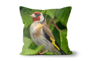 European Goldfinch in a Cherry Tree Scatter Cushions by Carol Herbert
