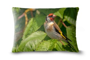 European Goldfinch Oblong Scatter Cushions