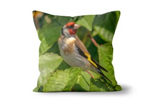 Goldfinch in a Cherry Tree Scatter Cushions by Carol Herbert