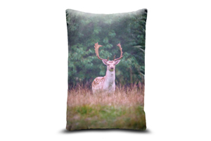 Fallow Deer Oblong Throw Cushions