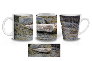 Relaxing Harbour Seal Coffee Mugs