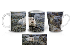 Smiling Harbour Seal Coffee Mug Options