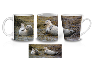 Watchful Harbour Seals Coffee Mug