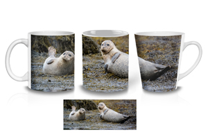 Curious Harbour Seals Coffee Mugs