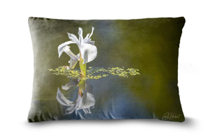 White Water Iris Oblong Cushions