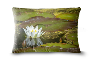 Nymphaea Alba Water Lily Oblong Cushions
