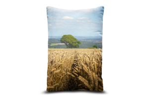 High Bradfield Wheat Field Oblong Cushion