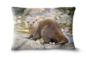 Otter 19 x 13 inch cushion