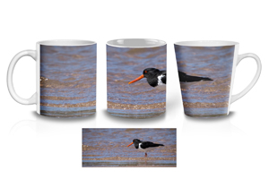 Foraging Oyster Catcher Coffee Mug Options