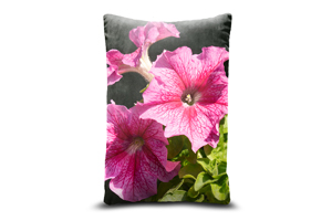 Pink Veined Petunia Flower Oblong Cushions