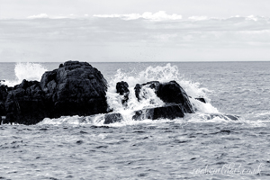 Rubha Reidh Rocks Wall Art by Carol Herbert