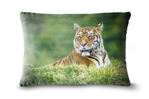 Sumatran Tiger Throw Cushion