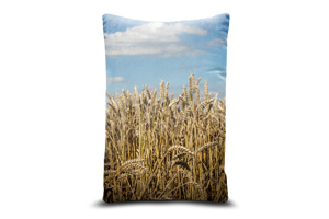 Wheat Field Oblong Cushions