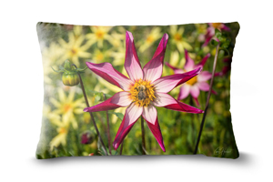 Alpen Chips Dahlia and Bee 19in x 13in Oblong Cushion
