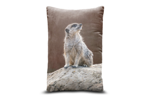 Baby Meerkat 13in x 19in Oblong Throw Cushion