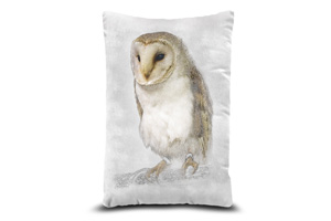 Barn Owl 13in x 19in Oblong Throw Cushion