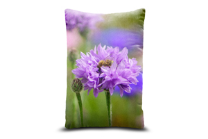 Dark Pink Cornflower Rectangle Throw Cushions