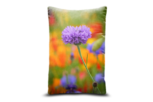 Purple Cornflower Oblong Throw Cushions