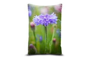 Lilac Cornflower Rectanglular Cushions