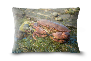 Crab 19in x 13in Oblong Throw Cushion