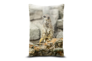 Meerkat Standing Watch 13in x 19in Oblong Throw Cushion