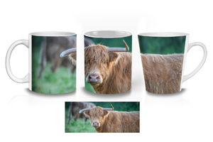 Curious Highland Cow Coffee Mugs