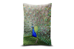 Peacock Oblong Throw Cushions