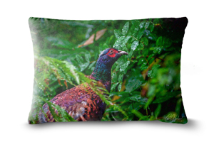 Pheasant Oblong Throw Cushions