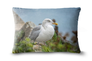 Seagull 19in x 13in Oblong Throw Cushion